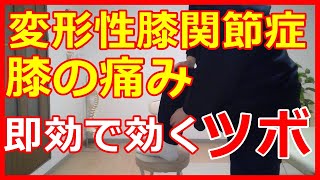 膝の痛みに即効で効くツボ【変形性膝関節症】　橿原市の整体