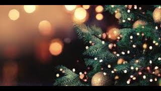 2020 Hutchins-Maples Matherly Tree of Remembrance