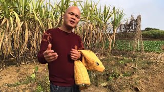 男生版本的《梅花泪》，好听不止一点点，马上用来做手机铃声【桂平光哥】