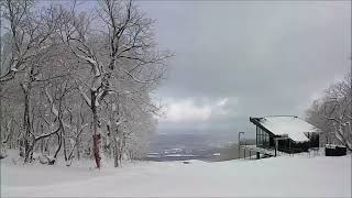 2024年12月27日（金）- ６度 曇り時々小雪 ❄45ｃｍ＜函館七飯スノーパークにて＞（ゴンドラ終点ピークより滑降ＯＫ）白樺コース思っていたより雪多し♪