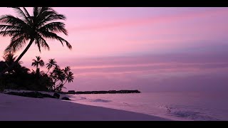 A RELAXING MUSIC WITH SEASHORE NATURE AND AMAZING PLACES #calmmusic #dream