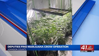 Indoor marijuana growth operation found in Johnson County; 43 plants seized