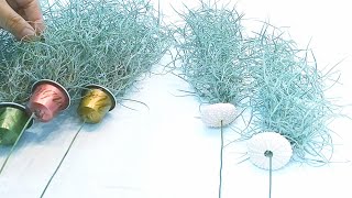 🕸수염틸란드시아🕸  증식~ 이것만 알면 끄읏~ (Spanish moss, Tillandsia Breeding)