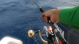 Jigging Strike‼️Rod Ripple Fisher Selfish 597s Nano \u0026 Reel Daiwa saltiga/SLPWorks‼️