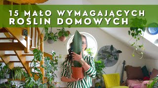 15 mało wymagających CIEKAWYCH roślin domowych 🌱 Domowa dżungla  cz.1