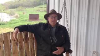 The Marvelous Pigness of Pigs by Joel Salatin