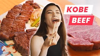 Kobe Beef: The Most Expensive Steaks in the World