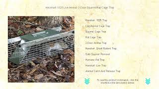 Havahart 1025 Live Animal 2-Door Squirrel/Rat Cage Trap