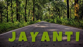 Samuktala to jayanti forest by road || Buxa tiger reserve ||  Ratu's Vlog's