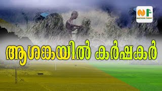 താളം തെറ്റിയ തുലാവർഷം ,മഴ ചതിക്കുമോ || Monsoon delays in kerala