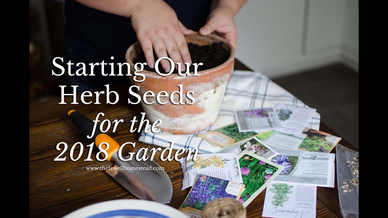 Starting Our Herb Seeds For The 2018 Garden Youtube