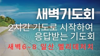 일산 멜리데처치(백석)기도하시고 싶으신분 누구든지 오셔서 함께 나라와민족을 위해 기도 합시다~2025년  새벽기도회 새일을 행하실 주님을 믿고 응답받는 기도회 37일째