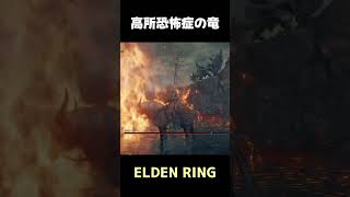 【ELDEN RING】高所恐怖症の竜