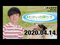 20200414 チュウモリ むかいの喋り方