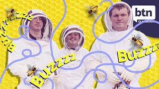 π World Bee Day - Behind the News