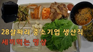 28살 9년차 중소기업생산직 23년 05월 17일 세끼