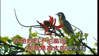 高高仙人掌~李佩菁~女C調~伴奏~導唱3顆~金嗓丙