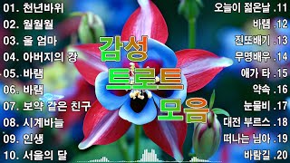 감성 트로트 모음 KPOP (TROT) PLAYLIST 🍅 (김희재.장민호.양지은.홍지윤.정동원.영탁.이찬원.김태연.김의영.임영웅.별사랑.은가은)