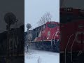 hornspam from cn 531 shortvideos canadiannational