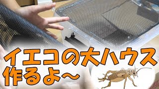 イエコの大ハウスを作ってみた。コオロギの飼育していくよ～三度目の正直【ヨーロッパイエコオロギ】