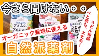 今さら聞けない、オーガニック栽培に使える「自然派薬剤」　べと病、うどん粉病も大丈夫　～狭い庭で家庭菜園～