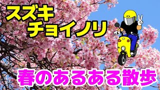 【チョイノリ】お花見散歩→あるある散歩