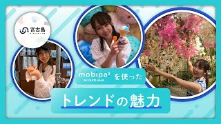 mobipa！を使ったトレンドの魅力