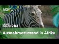 Afrika - vorübergehend geschlossen! (Langfolge 283) | Elefant, Tiger & Co. | ARD