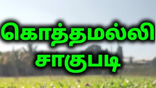 கொத்தமல்லி சாகுபடி உரம் தெளிப்பு முறை