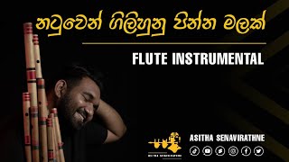 නටුවෙන් ගිලිහුනු පින්න මලක් 🌸🍂 | Natuwen Gilihunu Pinna Malak | Asitha Senavirathne | Short Cover