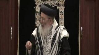 Rabbi Amar part2.mpg