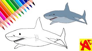 رسم سمكة القرش،كيفية رسم سمكة القرش بطريقة بسيطه خطوة بخطوة