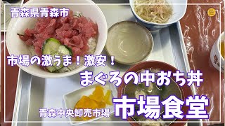 青森グルメ　青森県青森市　青森中央卸売市場食堂の激うま激安！　まぐろの中おち丼！　「ぼっちグルメウーマンの青森・岩手・秋田の食巡り！ 50代女性が贈る極上のグルメ冒険」