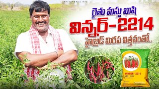 విన్నర్-2214 మిరప విత్తనంతో రైతు ఖుషి | Winner-2214 Hybrid Chilli Cultivation | Shiva Agri Clinic