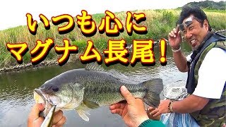 【いつも心にマグナム長尾】マグナムガイドサービスメガバイト連発！ トップウォーター ラインスラックtopwater bass fishing