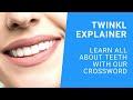 Learning All about Teeth with Our Crossword Activity | Twinkl Parents