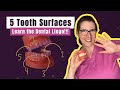 What are the Surfaces of a Tooth? Learn the 5 Dental Surfaces Every Future Dentist Needs to Know