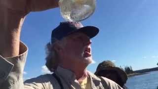 Sampling plankton
