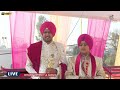 🔴 live the wedding day dharampreet weds aman 4k ultra hd 7 dec 2024