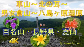 百名山（夏・花祭り）：車山～北の耳～男女倉山～八島ヶ原湿原 Kurumayama～Yashimagahara Marshlands GPS地図付 2022/07 [4K]