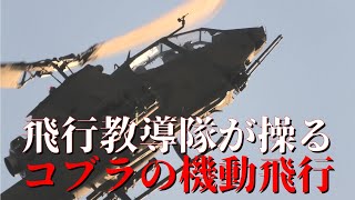 さすが飛行教導隊！商業施設での機動飛行に目が釘付け！OSAKA防衛防災フェスティバル AH-1Sコブラ離陸 #陸上自衛隊