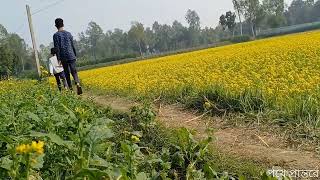 শীতের কোন একদিন গ্রাম বাংলার পথে  | | বাংলার পথে প্রান্তরে ||  beauty of village #nature