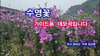 수영꽃 데모곡, 작곡 김상명 작사 금태산,