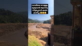 കല്ലാർകുട്ടി ഡാം വറ്റിച്ചപ്പോൾ | #kallarkuttydam #empty #shorts #cinematalkieslive #dam