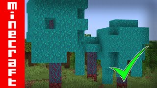 MINECRAFT | How to Grow HUGE Warped Fungus!