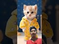 kucing joget tang Ting tung #shorts #tangtingtung #catlover