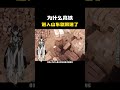 为什么高铁进入山东就限速了？ 科普 知识 冷知识