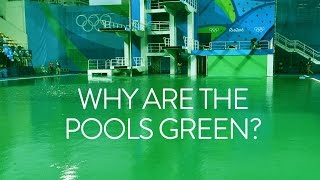 Why are the Olympic diving pools green? Olympic Games Rio 2016 - BBC Sport