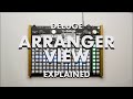 Deluge Arranger View Explained