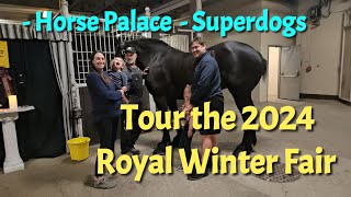 What's happening at the Royal Winter Fair? Superdogs, Indoor Eventing, great food, play zone, more